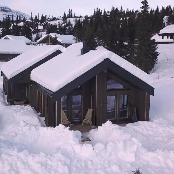 Unique cabin with fantastic lake view, sauna, ski & EV outlet, hotel in Svingvoll