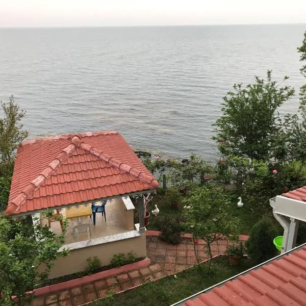 Villa Laila Trabzon, hotell i Akçakale