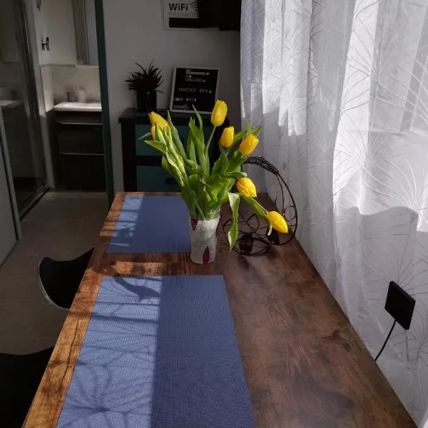 Studio, hotel in Challans