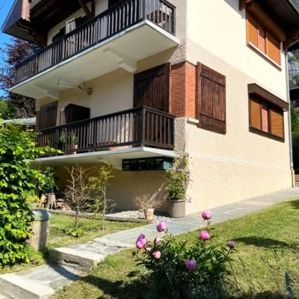 Fizhome Mt Blanc, hotel v destinaci Passy