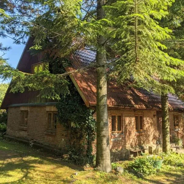 Warmiński dom nad jeziorem: Skolity şehrinde bir otel