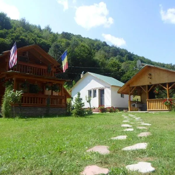 Vila Sara, hotel in Boşorod