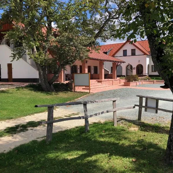 Tündérkert Panzió Őrség, hotel v destinaci Viszák