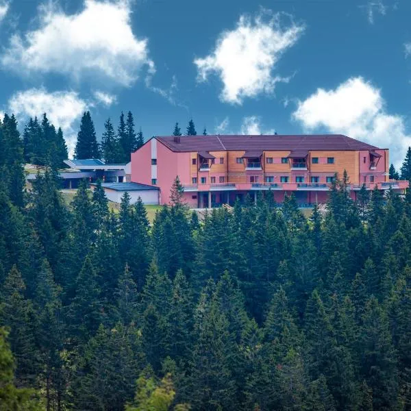 Hotel Natura, hotel u gradu Zreče