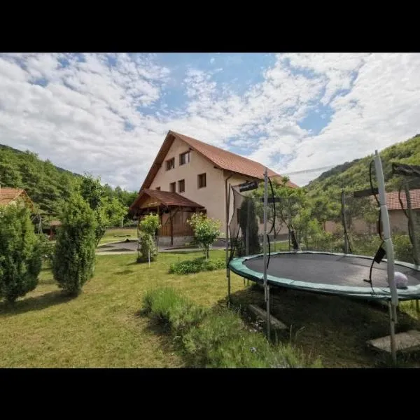 Casa Cecilia, hotel en Costeşti