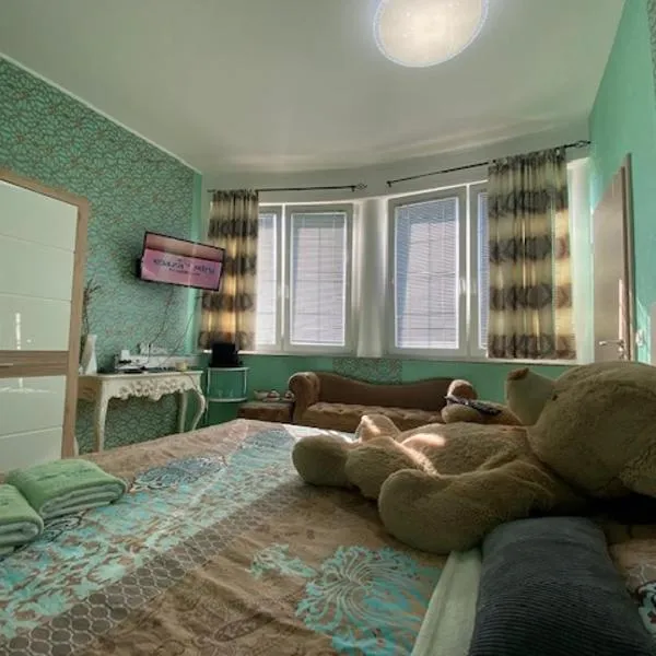 Room Oaza Miru, hotel in Maribor