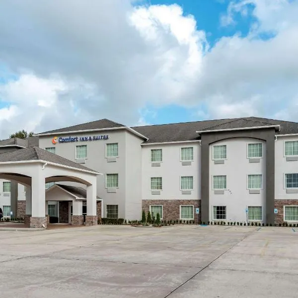 Comfort Inn & Suites Scott-West Lafayette, hotel in Rayne