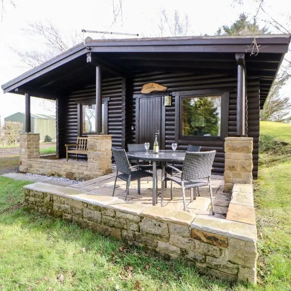 Alwinton Lodge, hotel in Morpeth