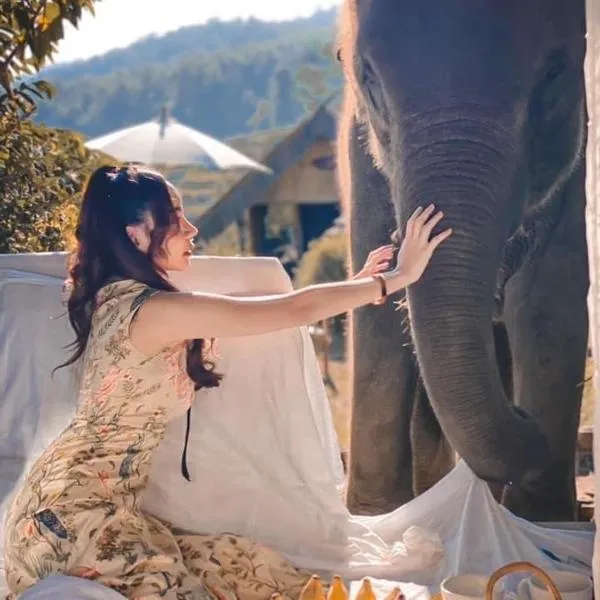 3 Pok Maewang jinxiang Gold elephant park, hotel in Ban Mae Sapok Noi
