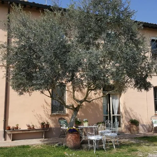 B&B La Palazza, hotel in Russi