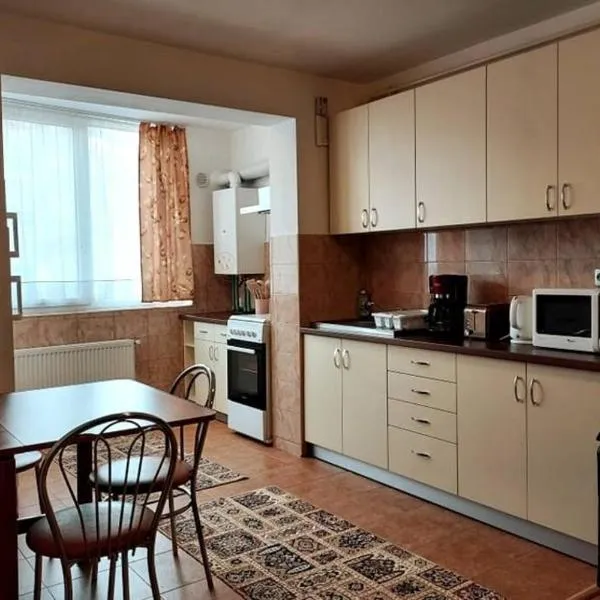 Spacious quiet flat, free parking included, hotel u gradu 'Floreşti'