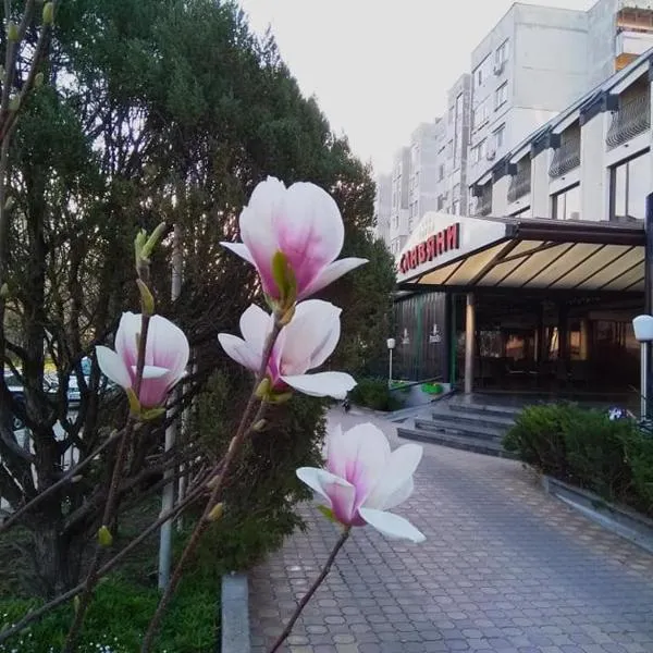 Hotel Slaviani、ディミトロヴグラトのホテル