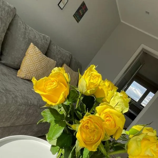 LUXURY WHITE APARTMENT by Marta, hotel en Radom