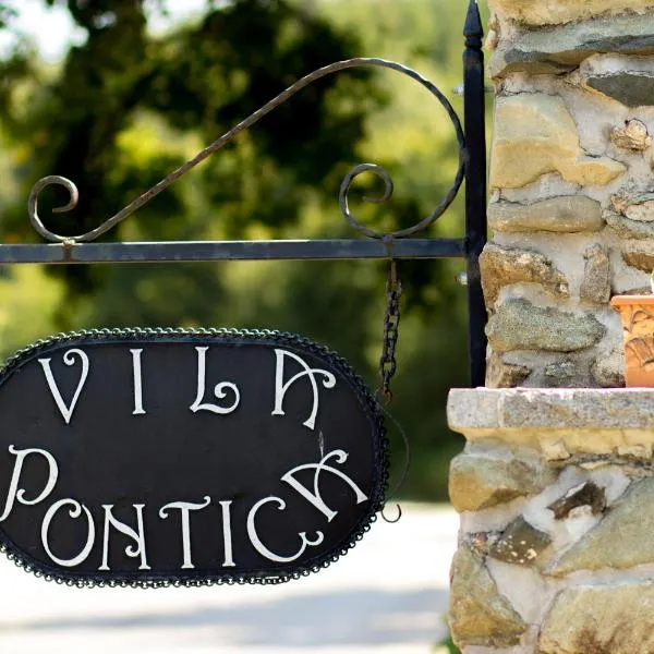 Villa Pontica, hotel in Sofia