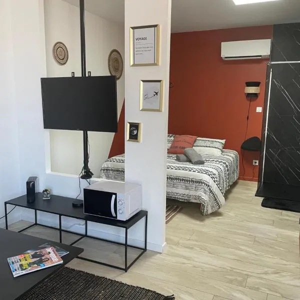 Studio Cosy tt confort proche aéroport, ξενοδοχείο σε Colombier-Saugnieu