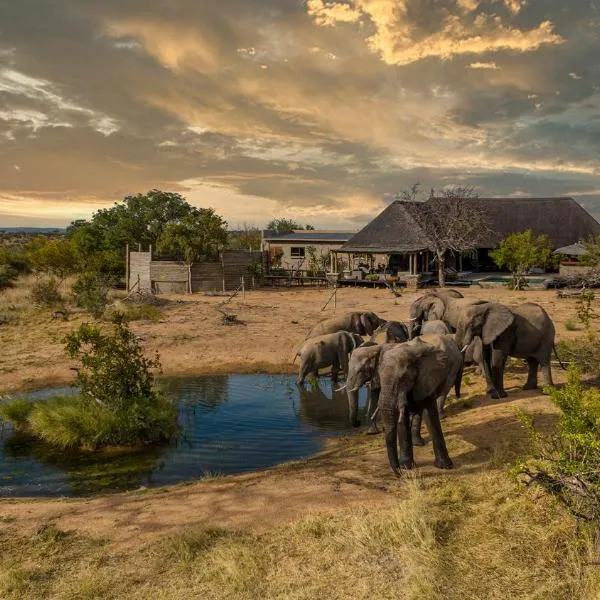 Imagine Africa Luxury Tented Camp, hotel a Balule Game Reserve