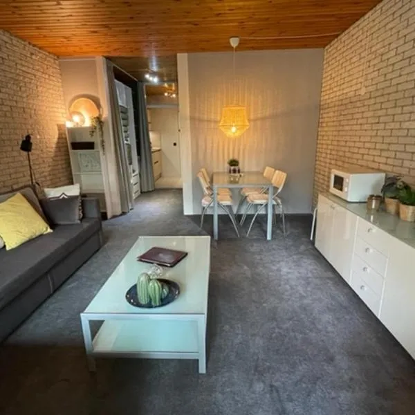 Appartement Zeeland、ブライニッセのホテル