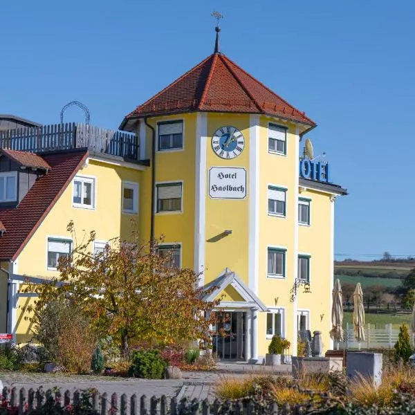 ホテル ハッスルバッハ FGZ（Hotel Haslbach FGZ）、レーゲンシュタウフのホテル