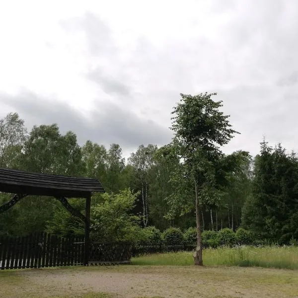 Agroturystyka Leśniczówka Więckowo-noclegi, hotel v destinácii Janowo