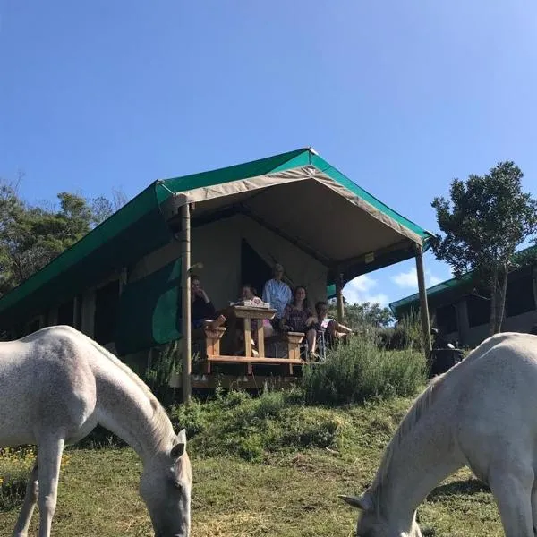 Trees&Seas - Glamping with farm animals, hotel v destinaci Wilderness