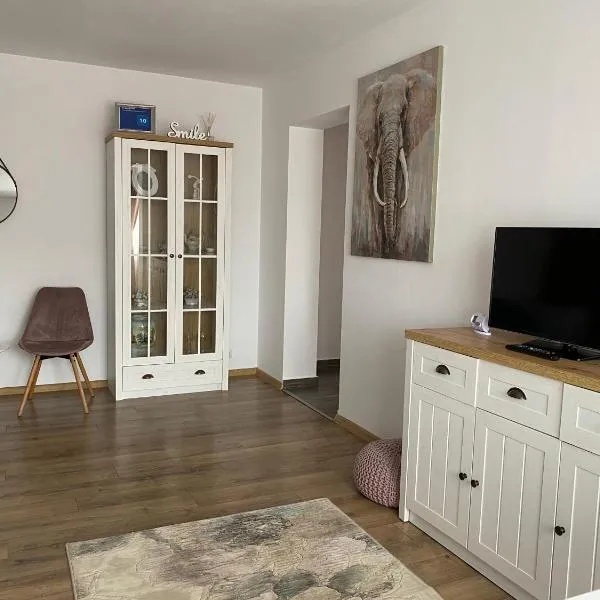 Best Apartment City Hall, hotel in Suceava