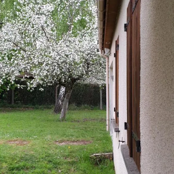 Maison entre relooking et modernité dans un cadre verdoyant pour amoureux de grands espaces, hotel in Nogent-sur-Vernisson
