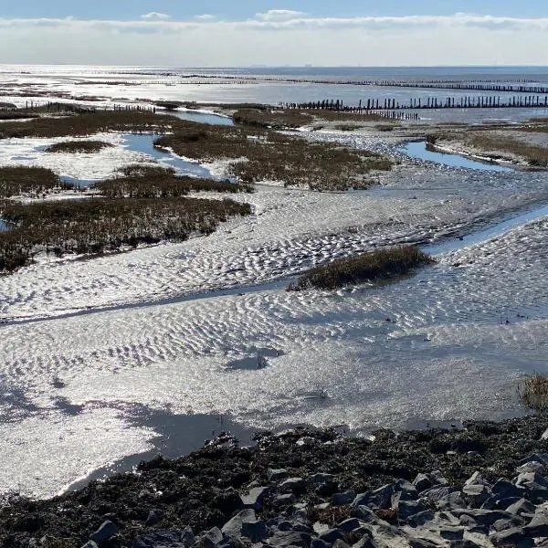 Ferienhaus Nordseejuwel, Hotel in Friedrichskoog-Spitze