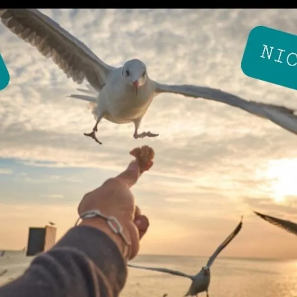 Casa Nicholas, hotell sihtkohas Constanţa