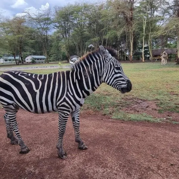 Africa Safari Lake Manyara located inside a wildlife park, hotel en Manyara