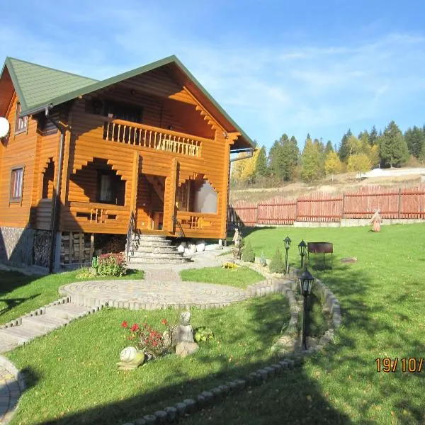 Вілла Олекси, hotel in Skhidnitsa