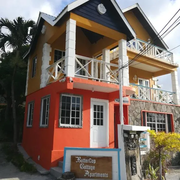 Buttercup Cottage Apartments, hotel in Buccament