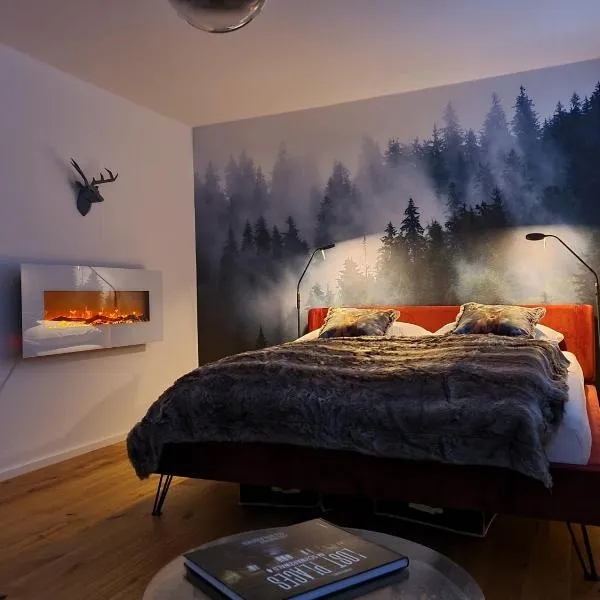 Mittendrin Ortenau, hotel v destinaci Kehl