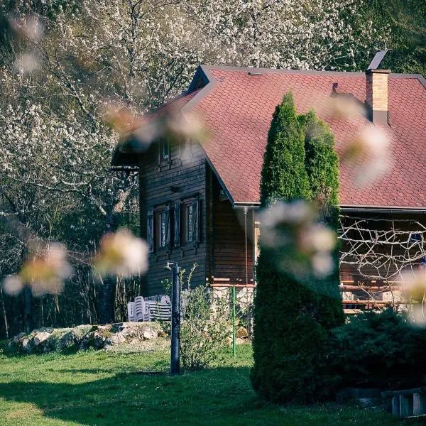 House Forest, hotel in Vukelići