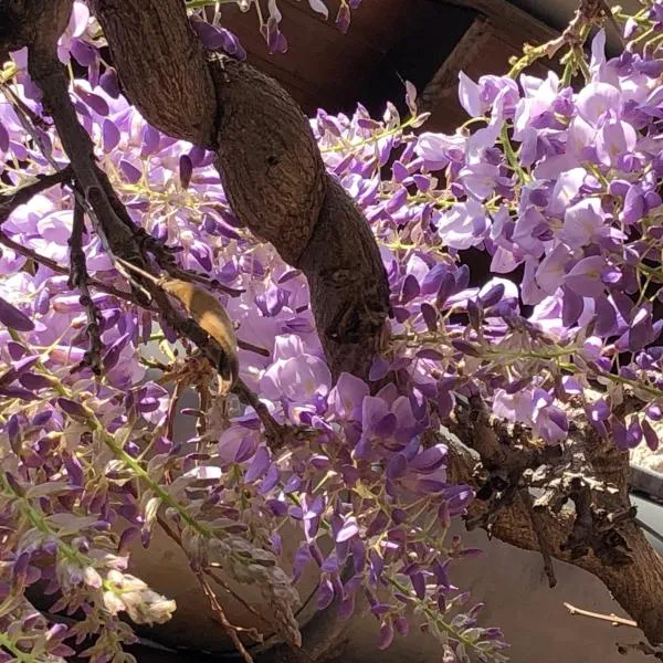 Le jardin de félicie, מלון בטרבו