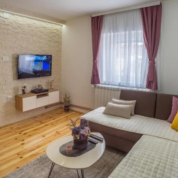 Vojinovic Apartman, hotel v destinaci Žabljak