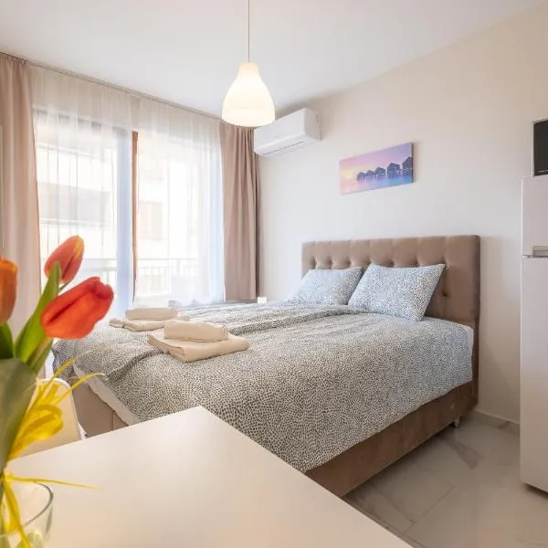 Sunny Dream Apartments, Hotel in Sofia