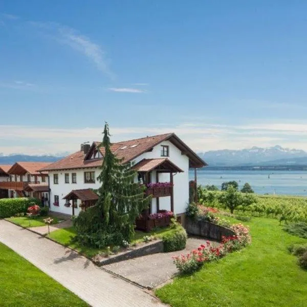 Weinberghof, hotel v destinaci Hagnau