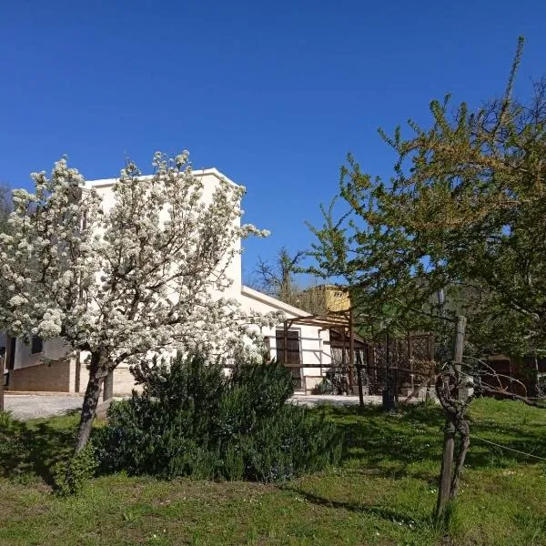 Sotto l'Ulivo, hotel a Isola di Fano