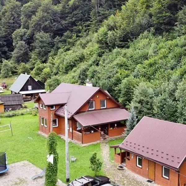 Bieszczadzki Klin BKLIN, hotel in Cisna