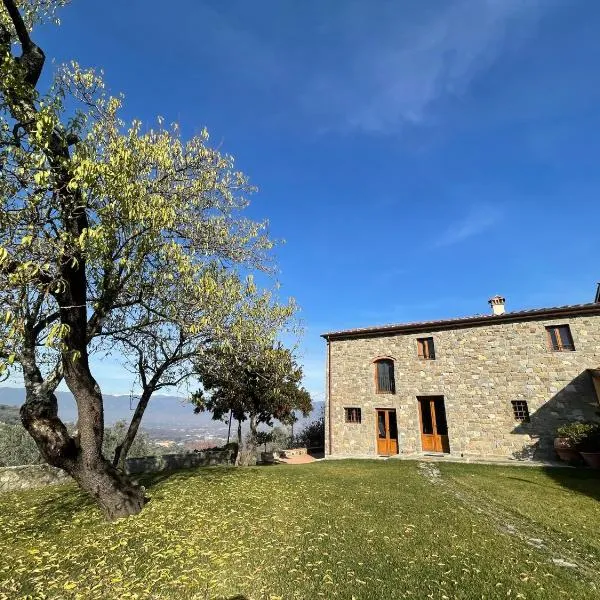 Affittacamere Il Vecchio Mandorlo, hotel in Montemagno