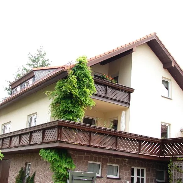 Ferienwohnung im DG, Parkplatz vorm Haus, WLAN, hotel v destinaci Bielatal