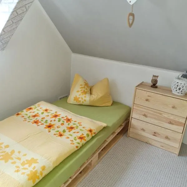 Haus Steindöbra, hotel v destinaci Klingenthal