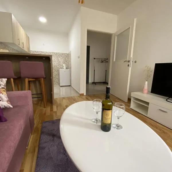 Apartman Andrej, hotel in Vranješ