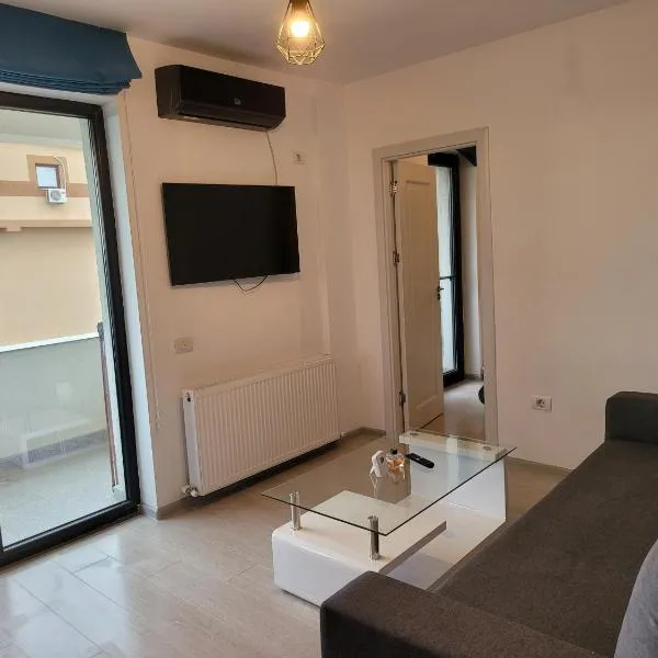 Năvodari में, होटल Alina apartament 2