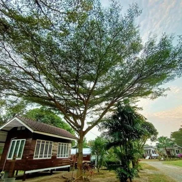 ผาผึ้ง Neverland, hotel in Ban Wang Krathon (1)