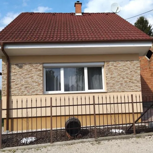 Nefelejcs Nyaraló-Vendégház, hotel in Kisbodak