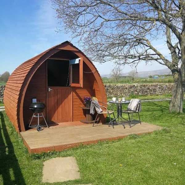 Sunny Mount Glamping Pod, hotel in Morland