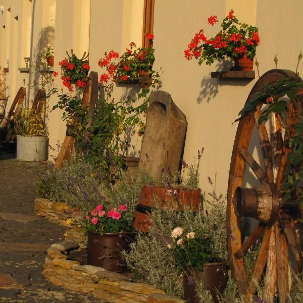 Pokoje Gościnne Skalnik, hotel di Witnica