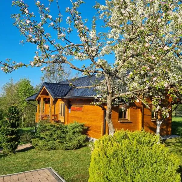 Apartments Zafran, hotel in Smoljanac