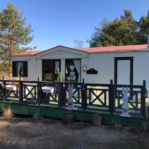 Leśna Cisza w Ładnówku 1, hotel in Kruszyny Szlacheckie
